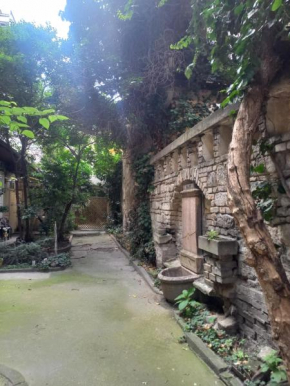 Mysterious Garden